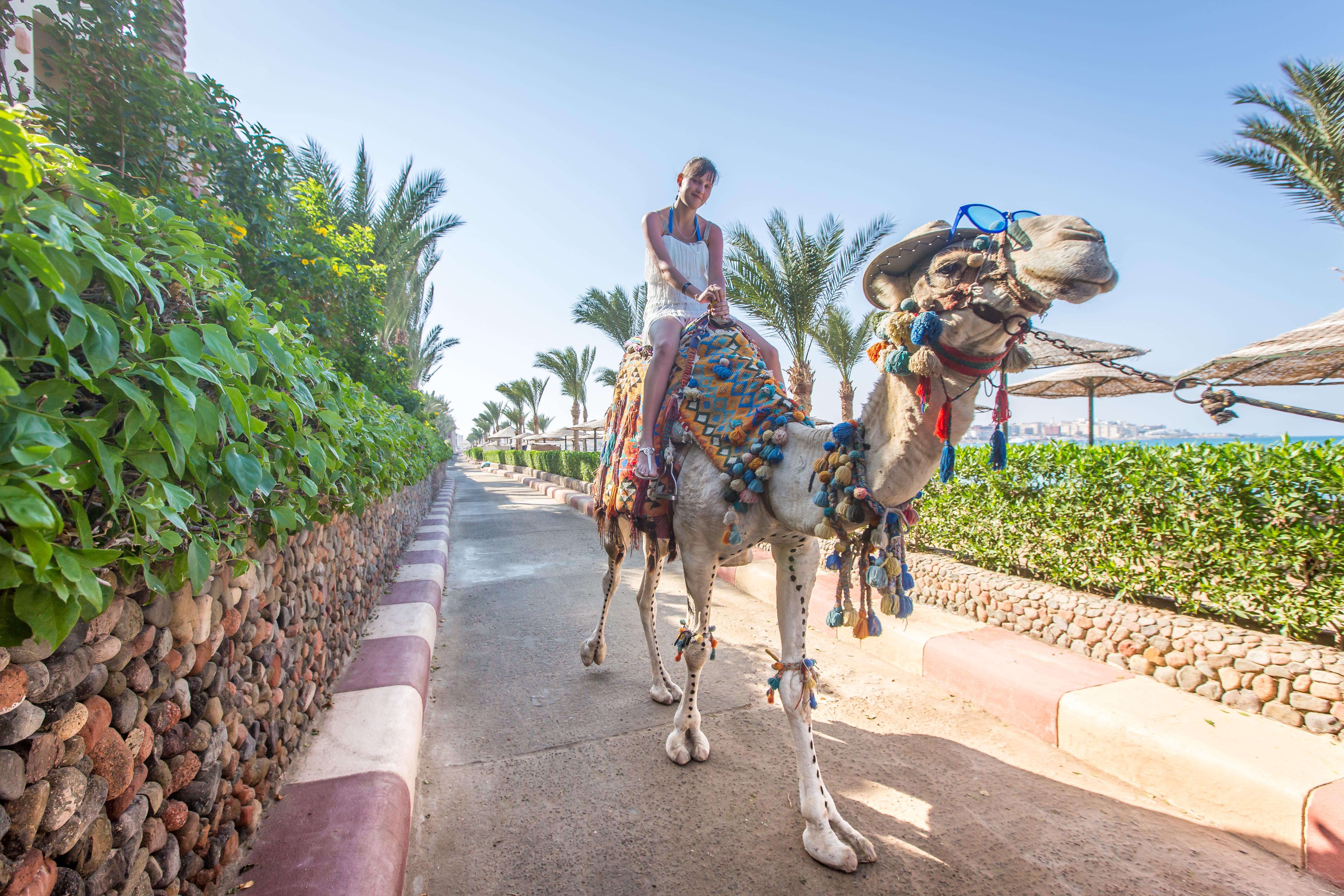 Sunny Days El Palacio Resort & Spa Hurghada Buitenkant foto